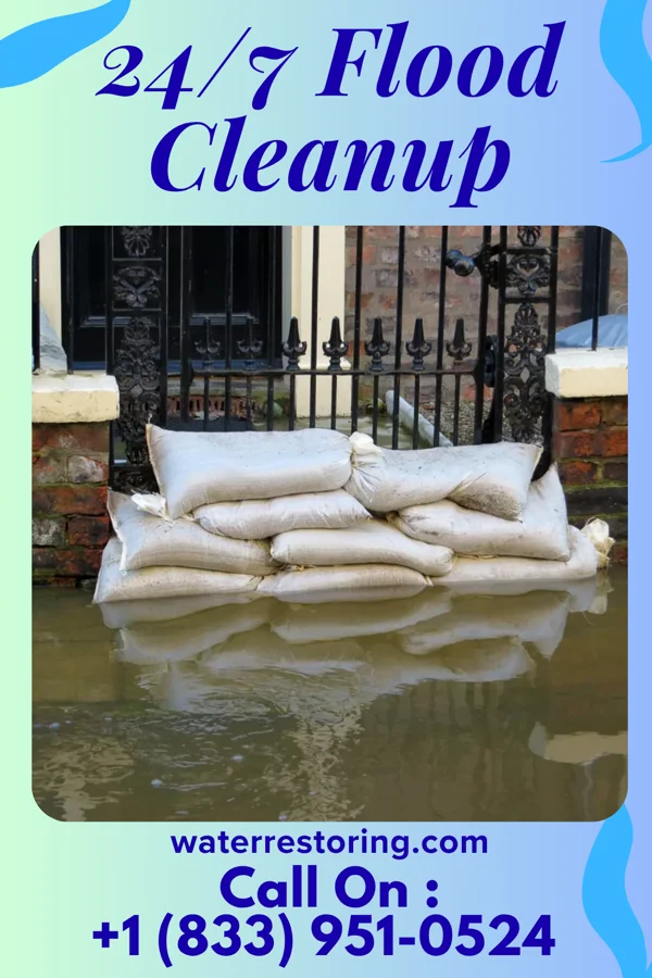 24/7 Flood Cleanup in Port Royal, VA