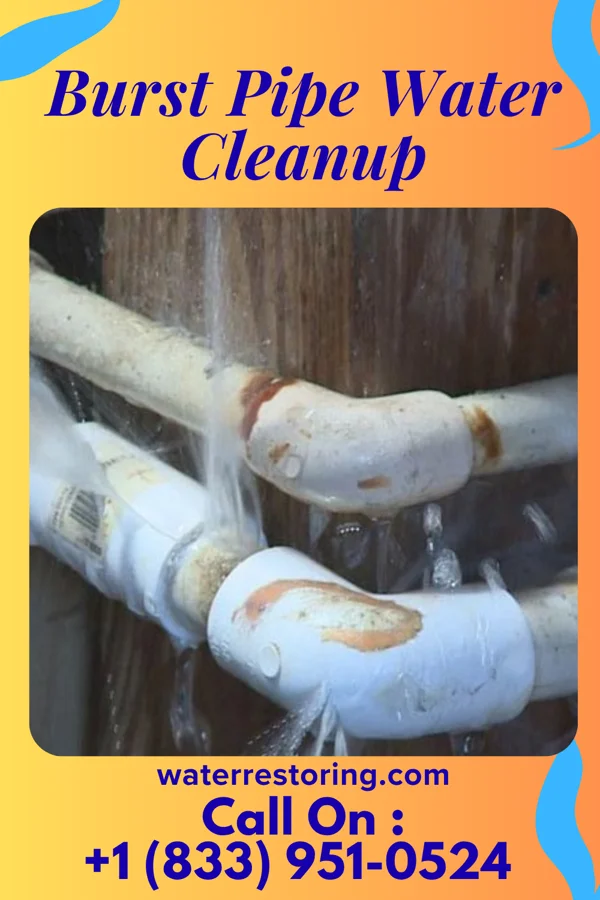 Burst Pipe Water Cleanup in Port Royal, VA