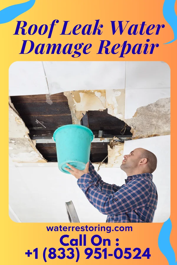 Roof Leak Water Damage Repair in Port Royal, VA